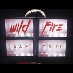 Wildfire – Sam Tsui – Official Music Video