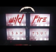 Wildfire – Sam Tsui – Official Music Video