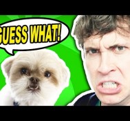 GUESS WHAT?!?  – The Talking Dog Show (feat. Tobuscus)