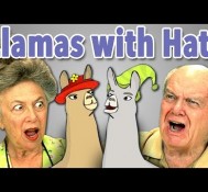 ELDERS REACT TO LLAMAS WITH HATS