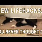 New Lifehacks You Never Thought Of!