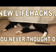 New Lifehacks You Never Thought Of!