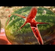 Catching a Bullet with a Watermelon – The Slow Mo Guys