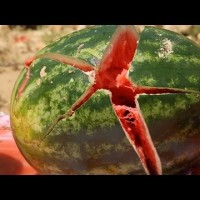 Catching a Bullet with a Watermelon – The Slow Mo Guys