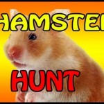 CRAZY Hamster Found In House!